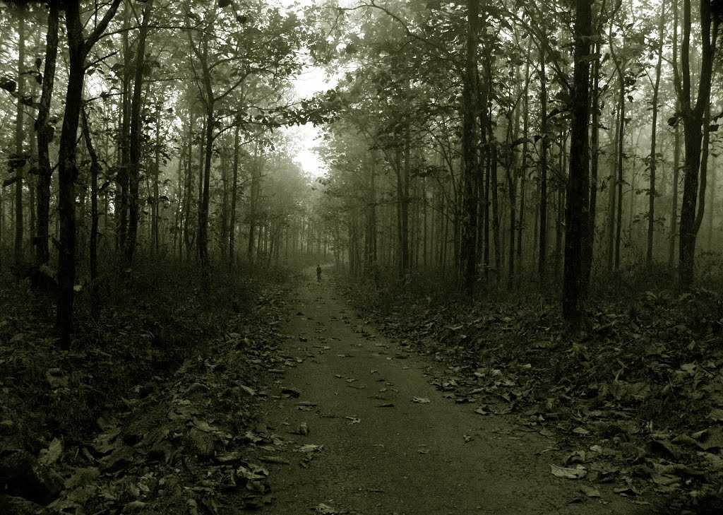Slide background